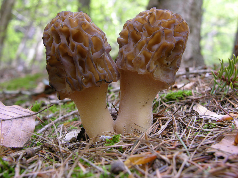 Ritrovamenti 14 maggio.